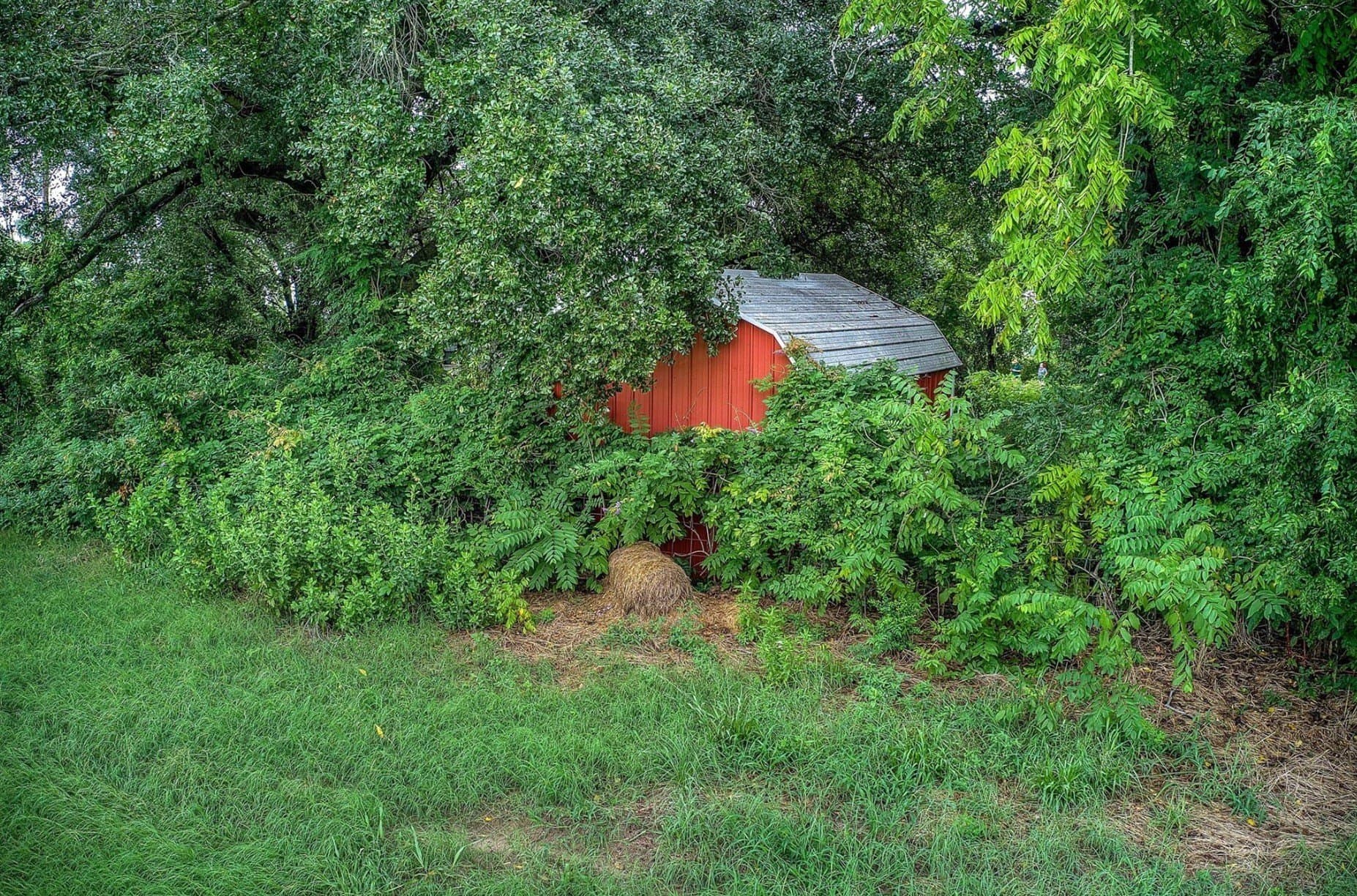 25 acres in Hopkins County - photo 8