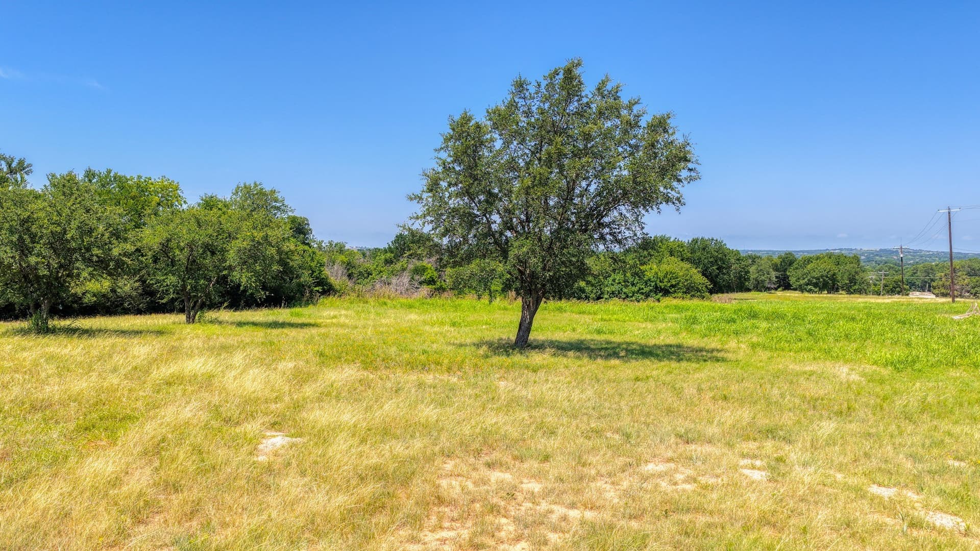 2.66 acres in Parker County gallery image 2