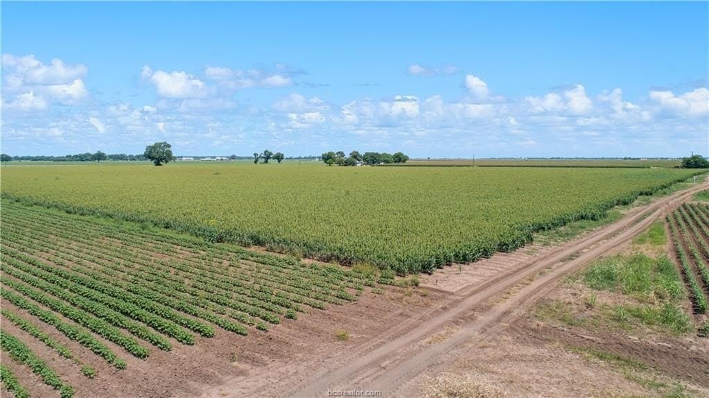 42 acres in Brazos County