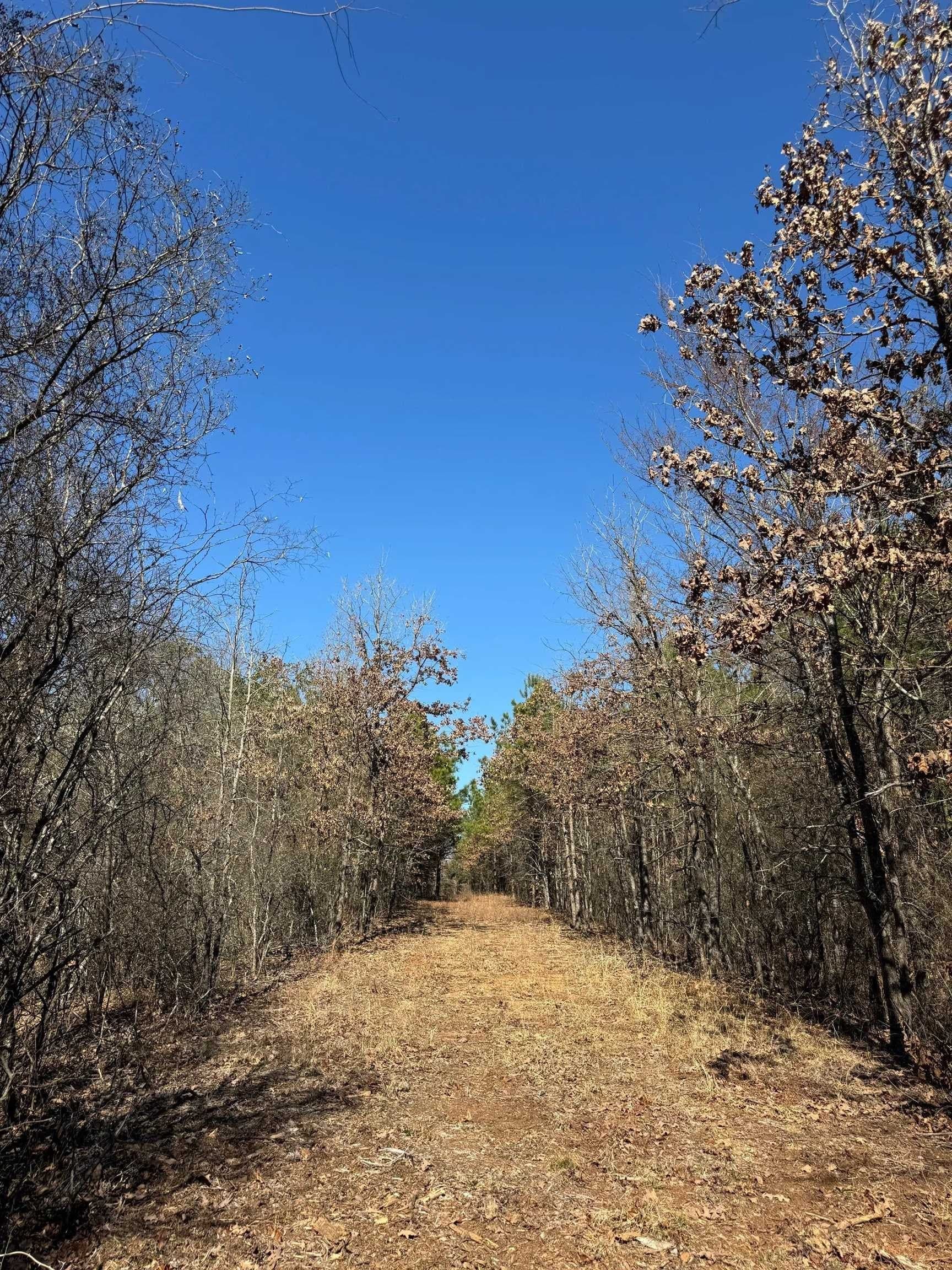 12.2 acres in Morris County gallery image 4