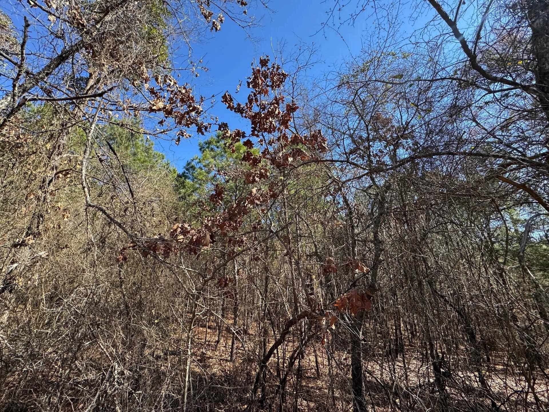 12.2 acres in Morris County featured view