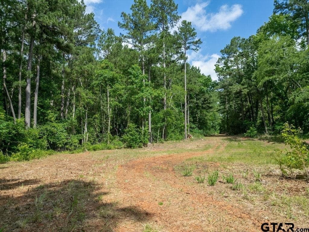 3 acres in Morris County - photo 13