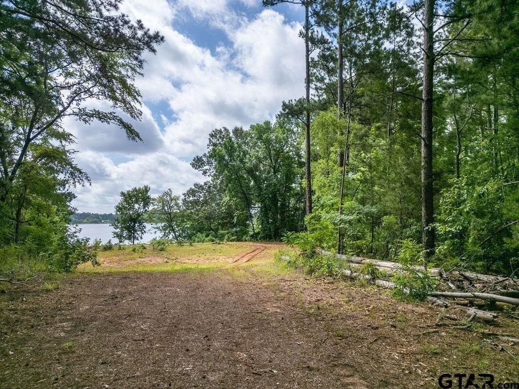 3 acres in Morris County - photo 8