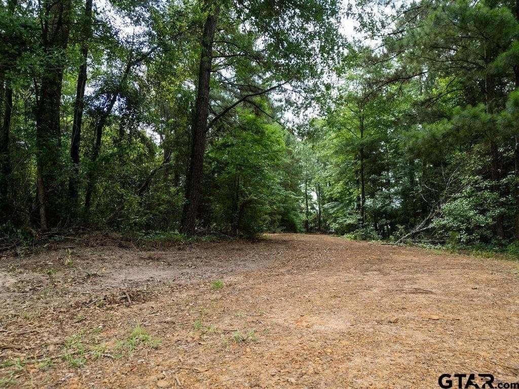 3 acres in Morris County - photo 23