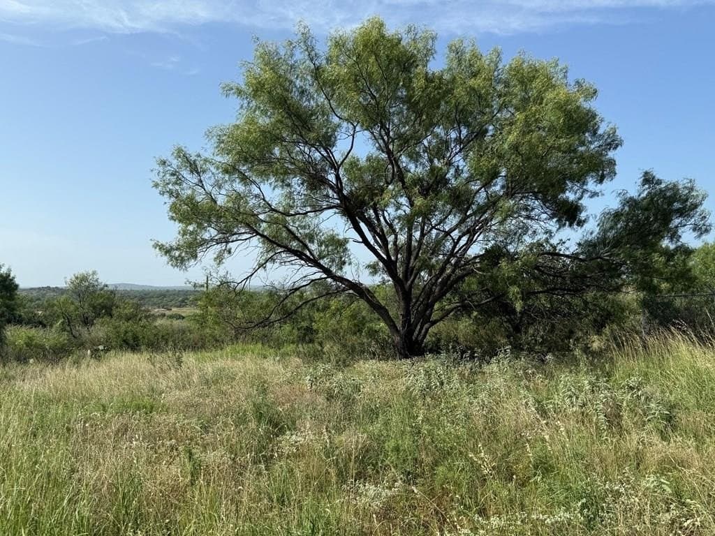 0.87 acres in Llano County - photo 11