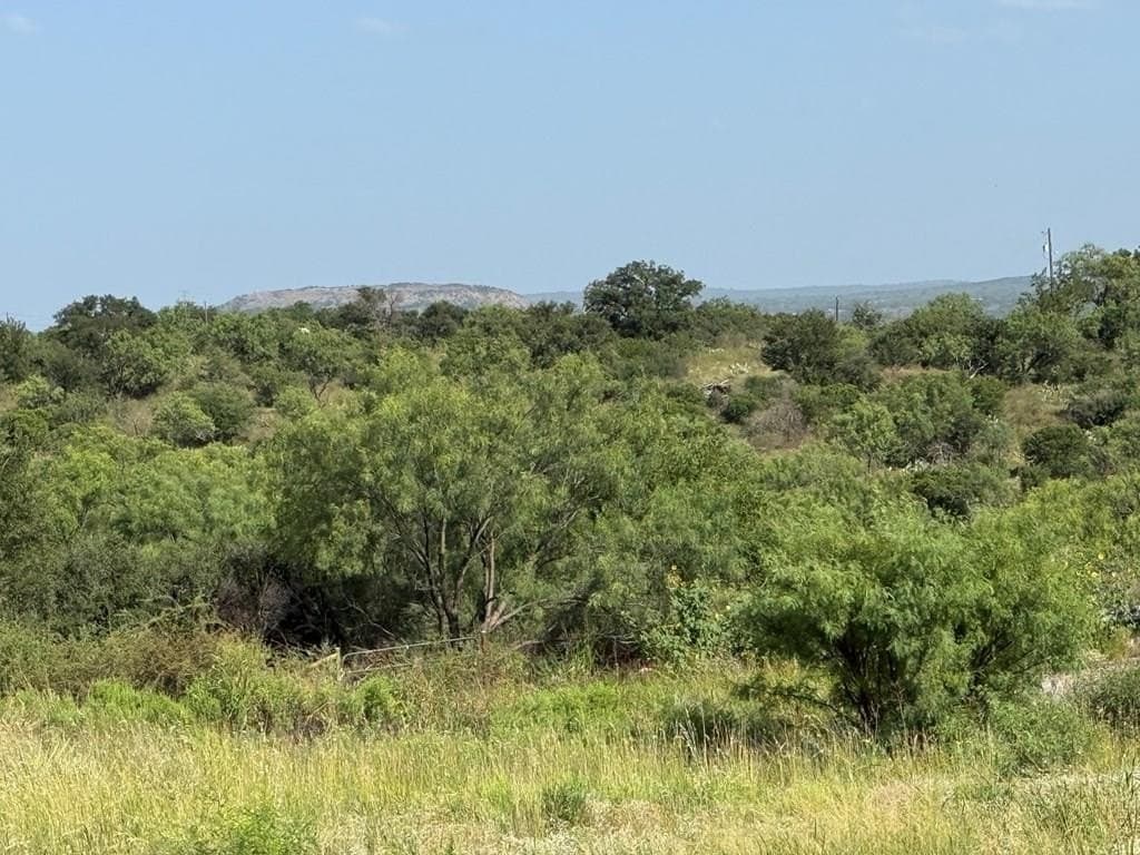 0.87 acres in Llano County - photo 18