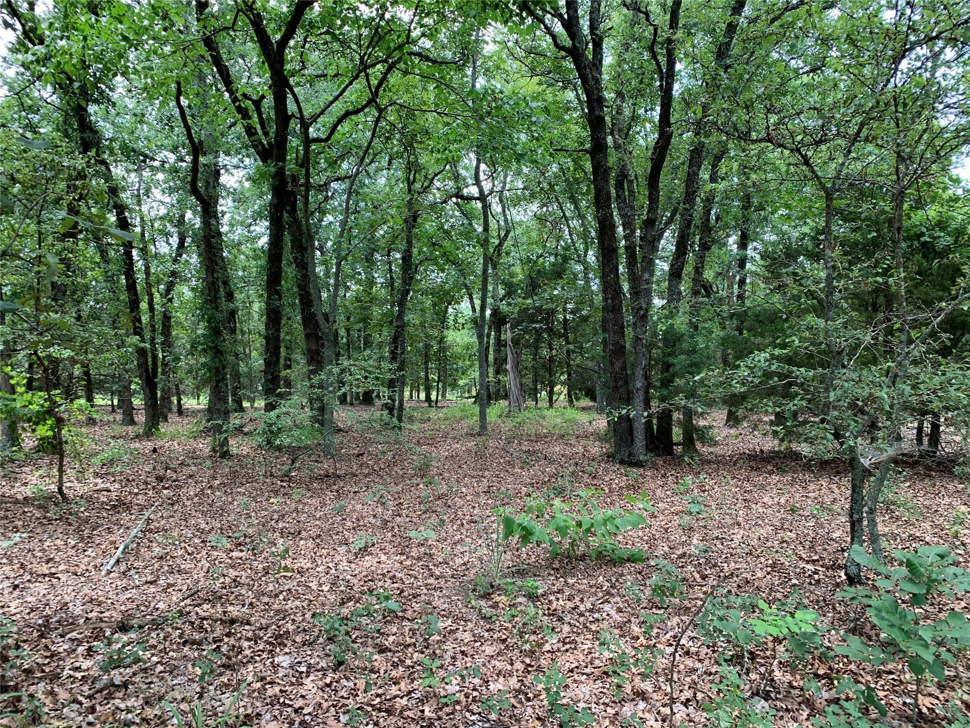 148.72 acres in Henderson County - photo 12