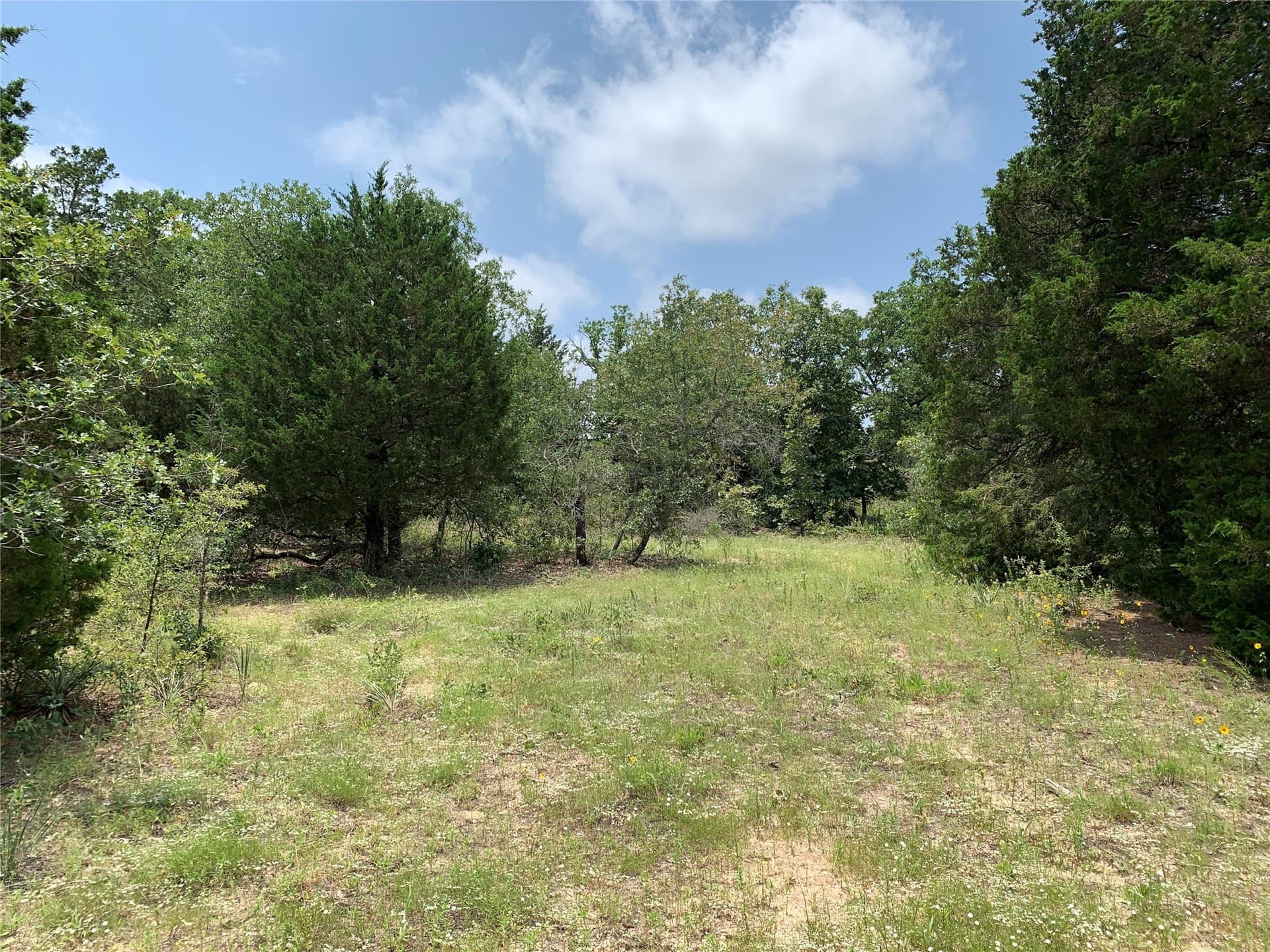 148.72 acres in Henderson County - photo 5