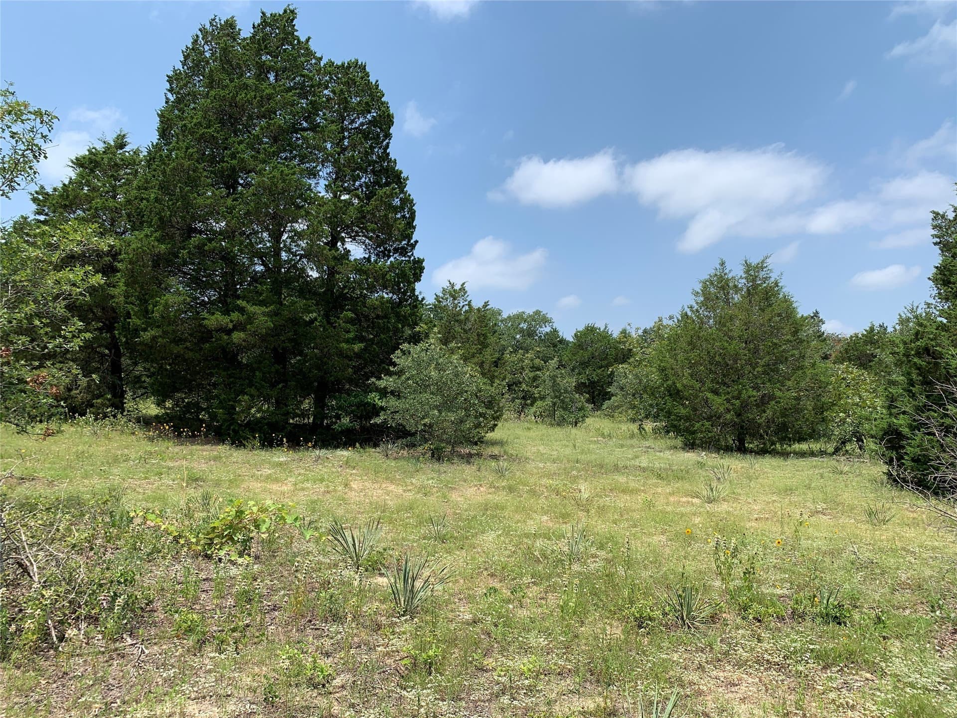 148.72 acres in Henderson County - photo 4