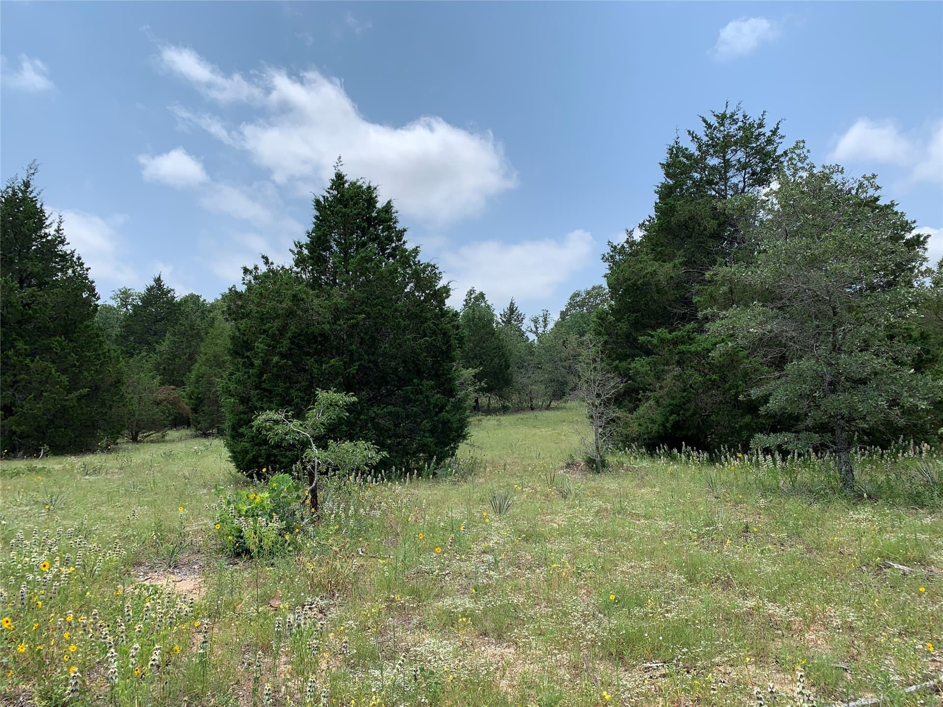 148.72 acres in Henderson County - photo 2