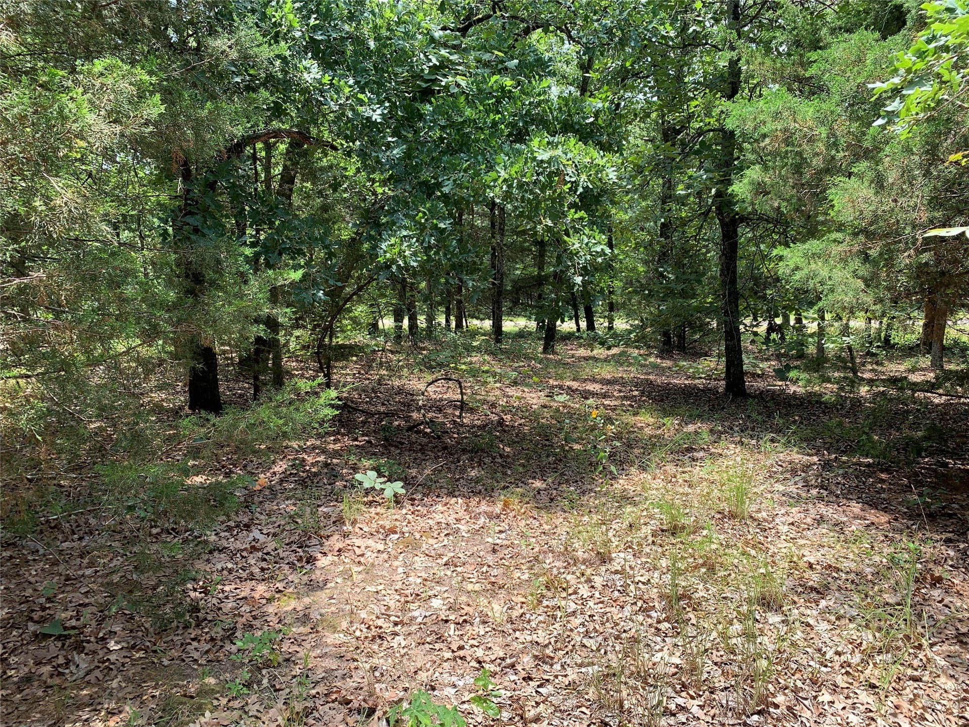 148.72 acres in Henderson County - photo 17