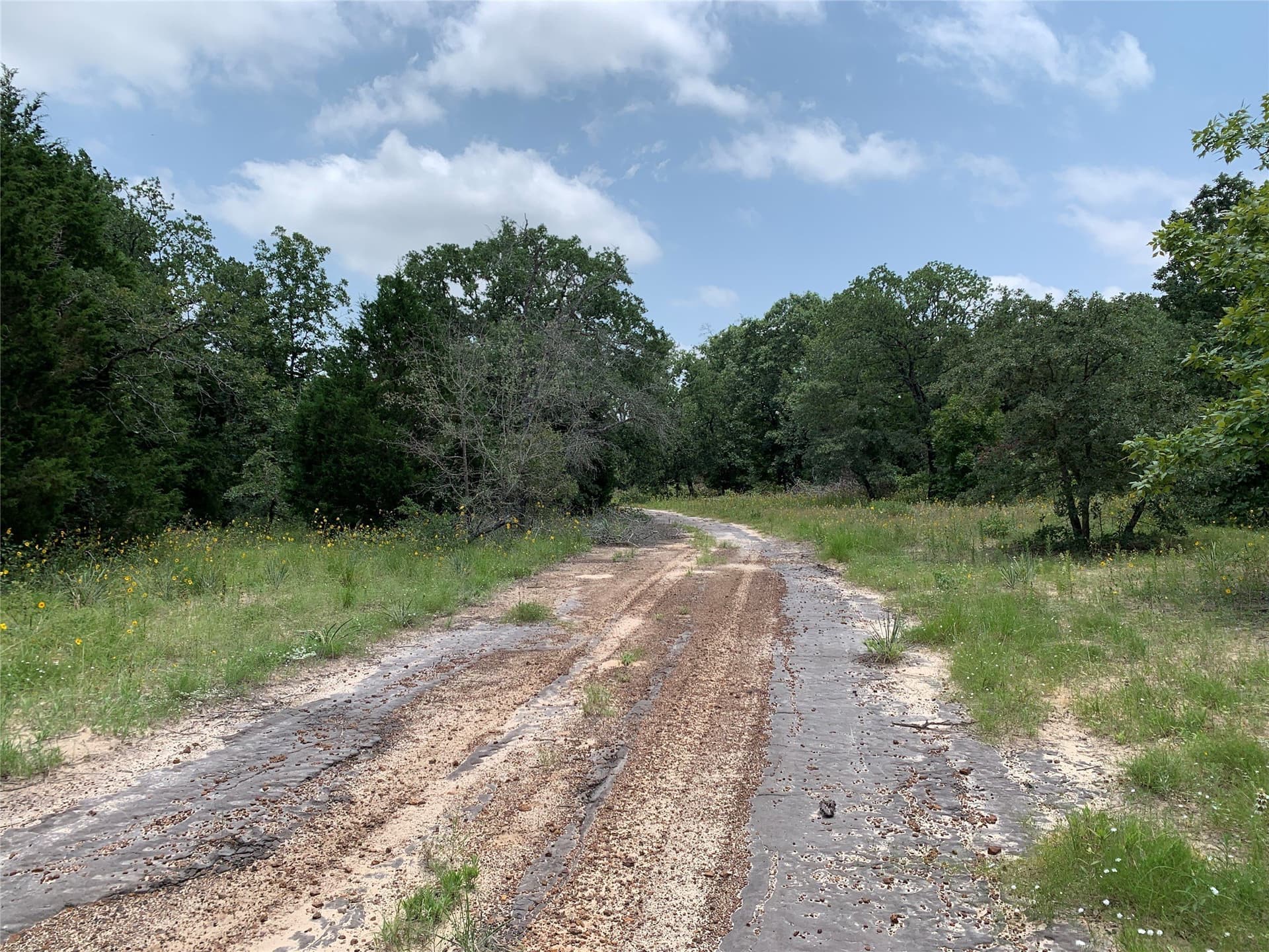 148.72 acres in Henderson County - photo 3