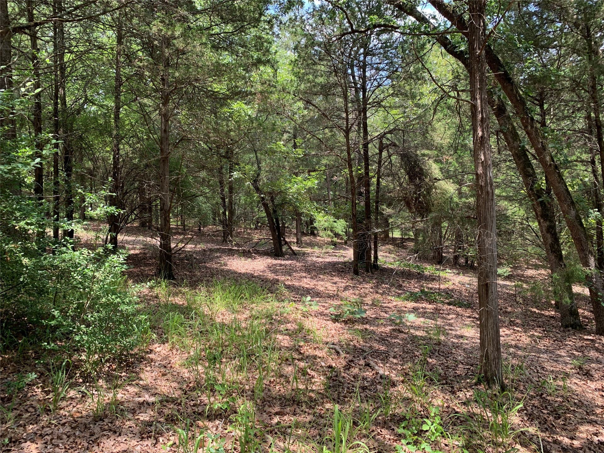 148.72 acres in Henderson County - photo 8