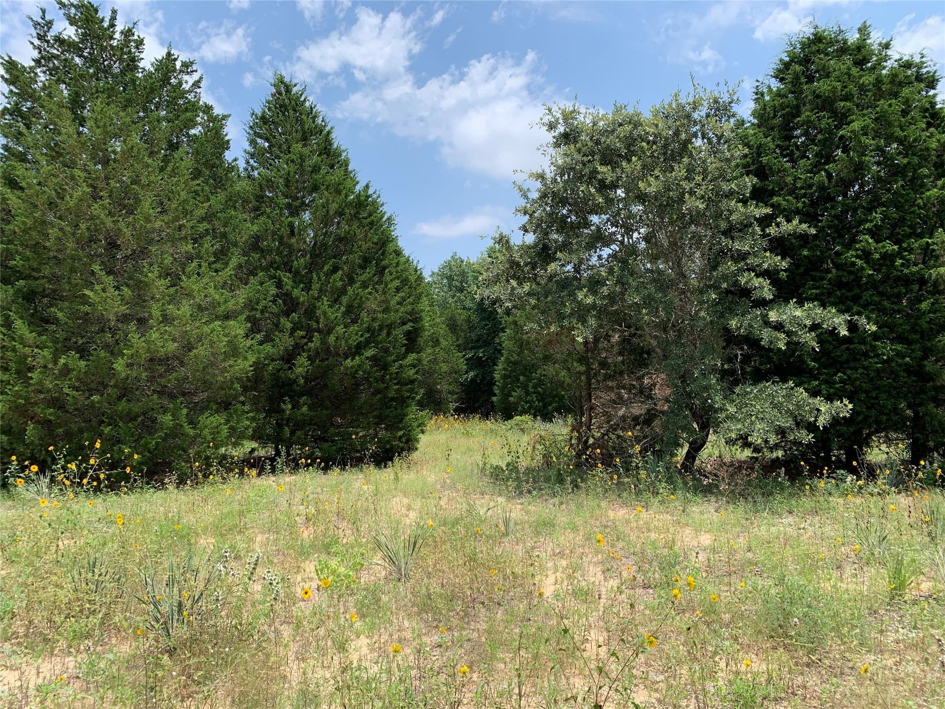 148.72 acres in Henderson County - photo 6