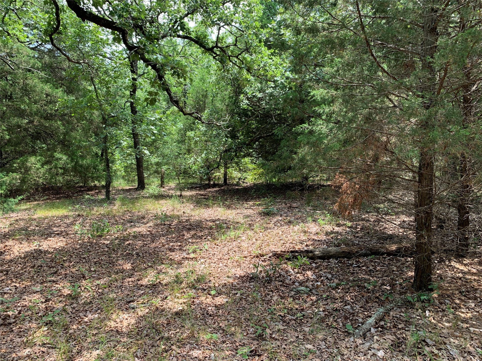 148.72 acres in Henderson County - photo 16