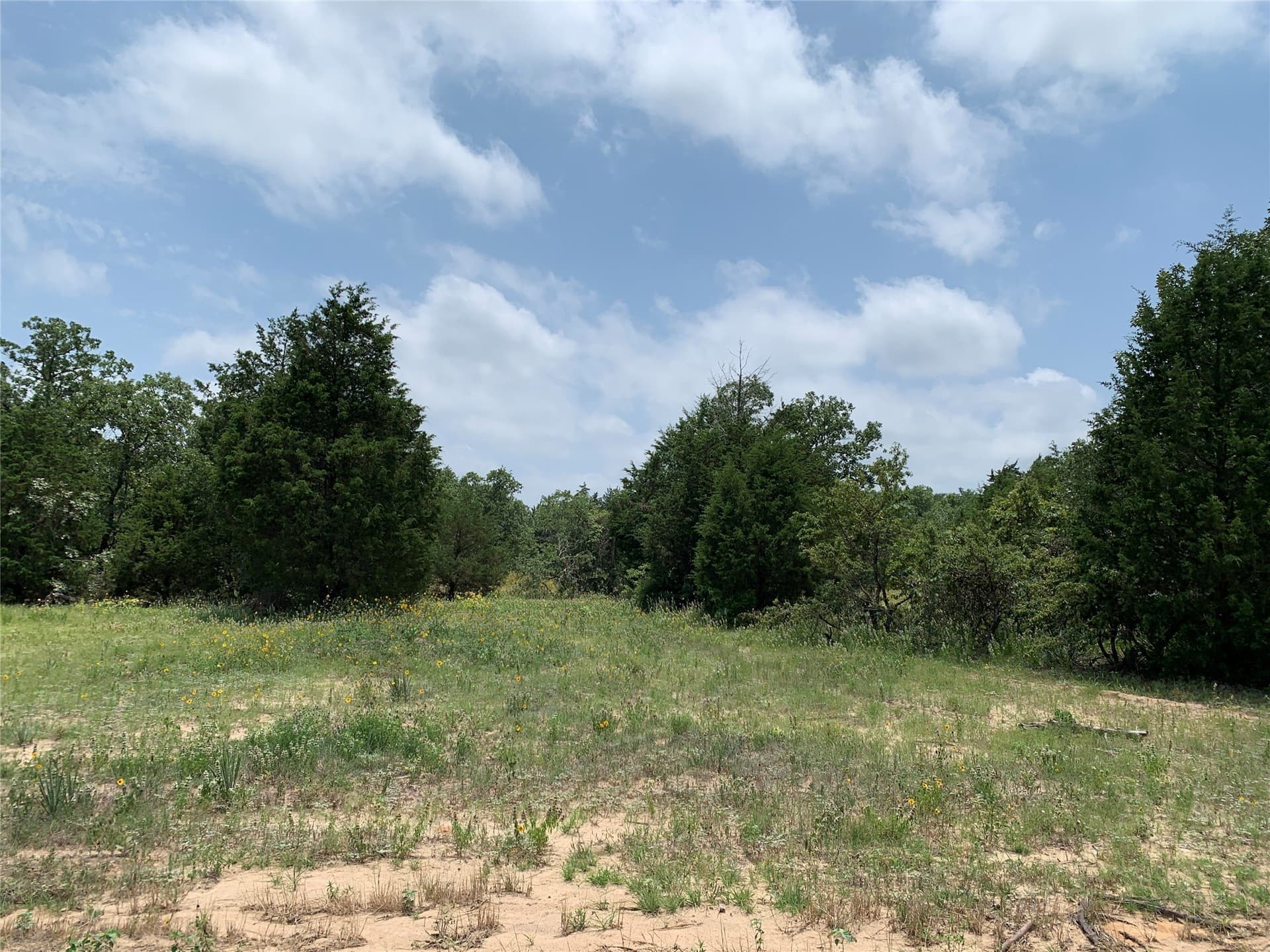 148.72 acres in Henderson County - photo 13