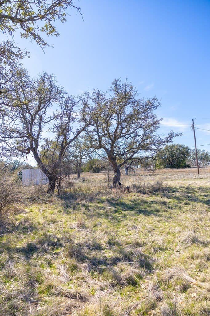 44.71 acres in Mason County - photo 52