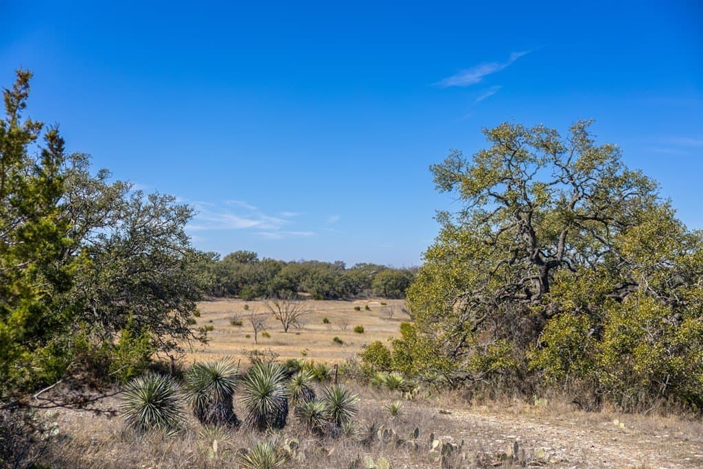 44.71 acres in Mason County - photo 91