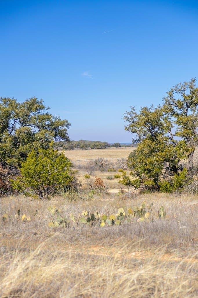 44.71 acres in Mason County - photo 78