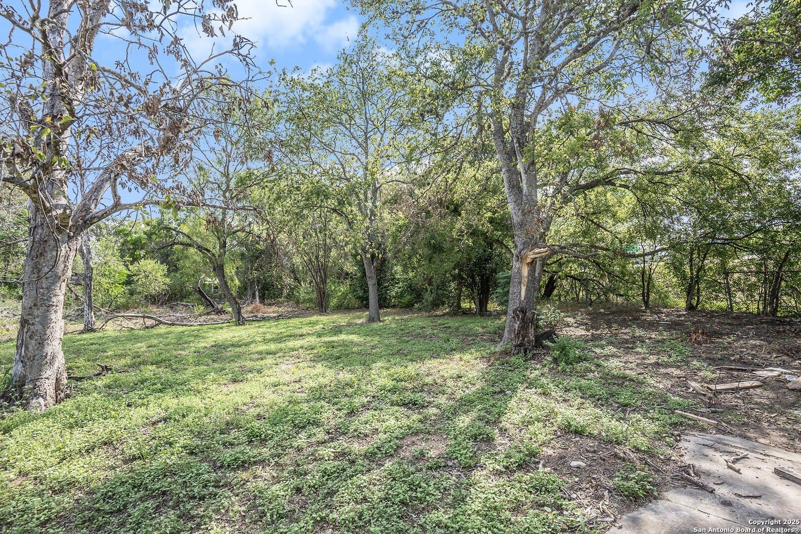 0.32 acres in Bexar County gallery image 2