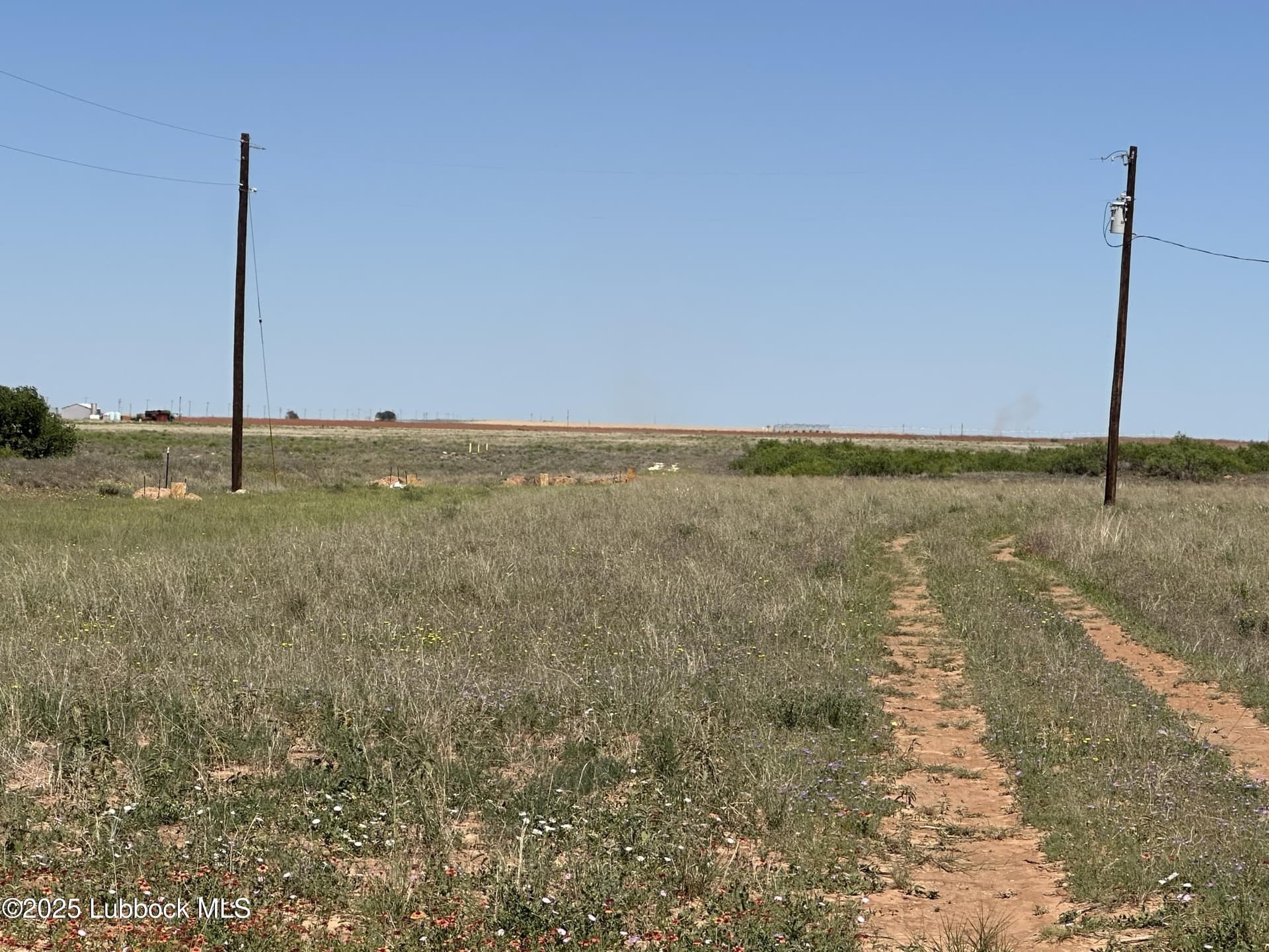 10.01 acres in Terry County gallery image 2