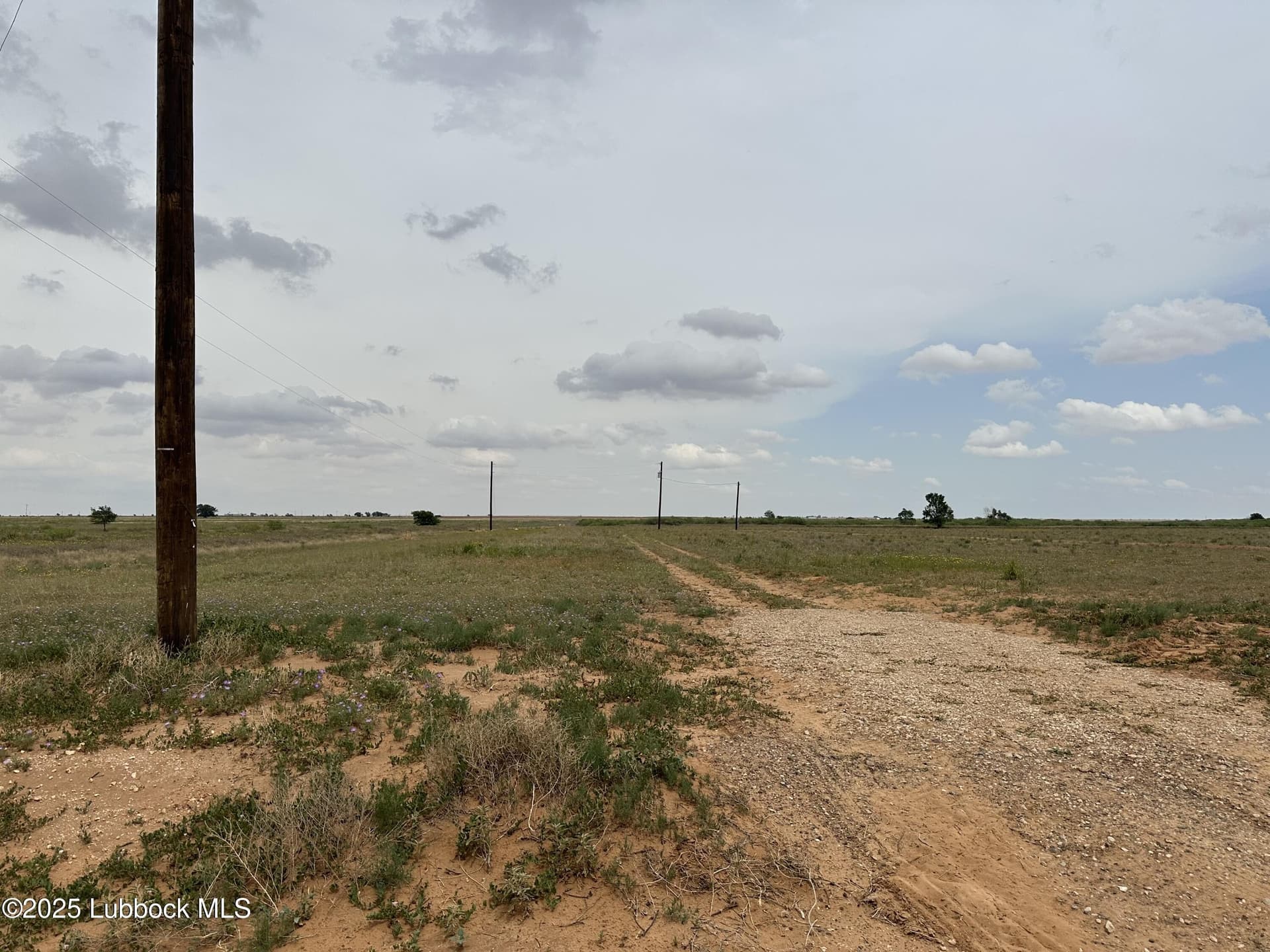 10.01 acres in Terry County gallery image 4