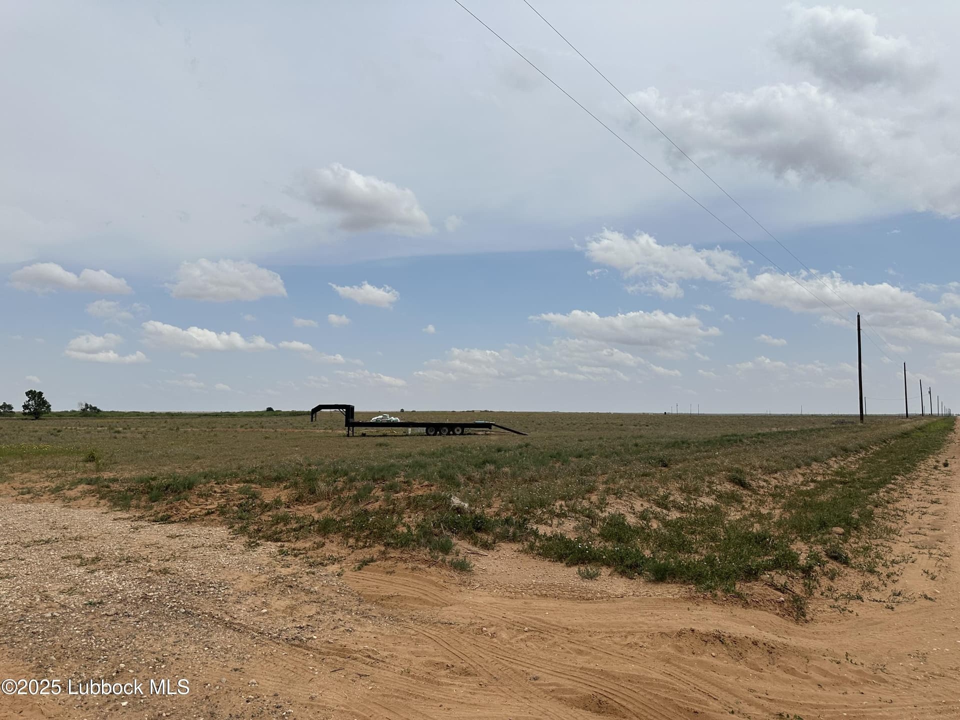 10.01 acres in Terry County gallery image 3