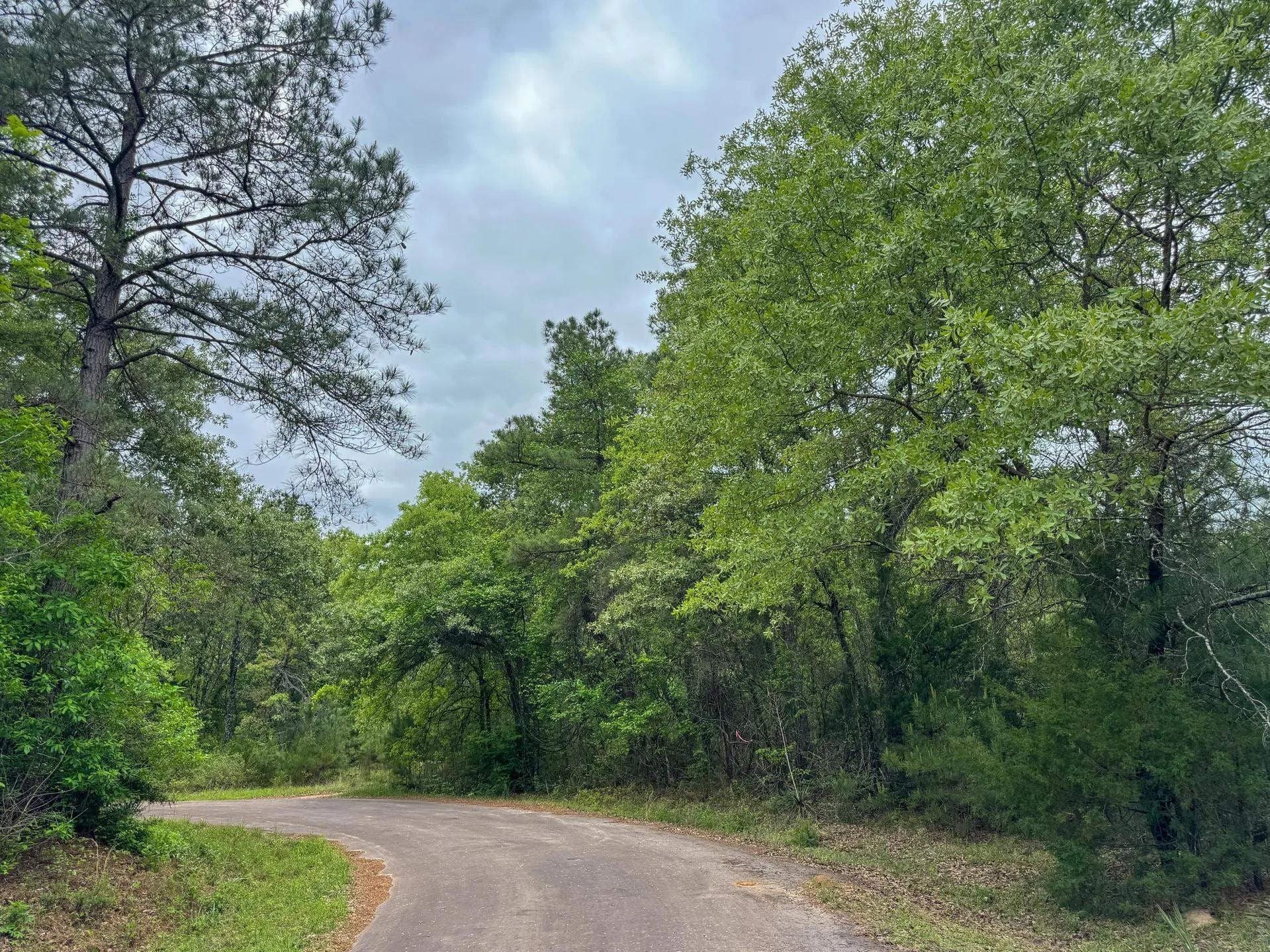 4 acres in Cass County - photo 10