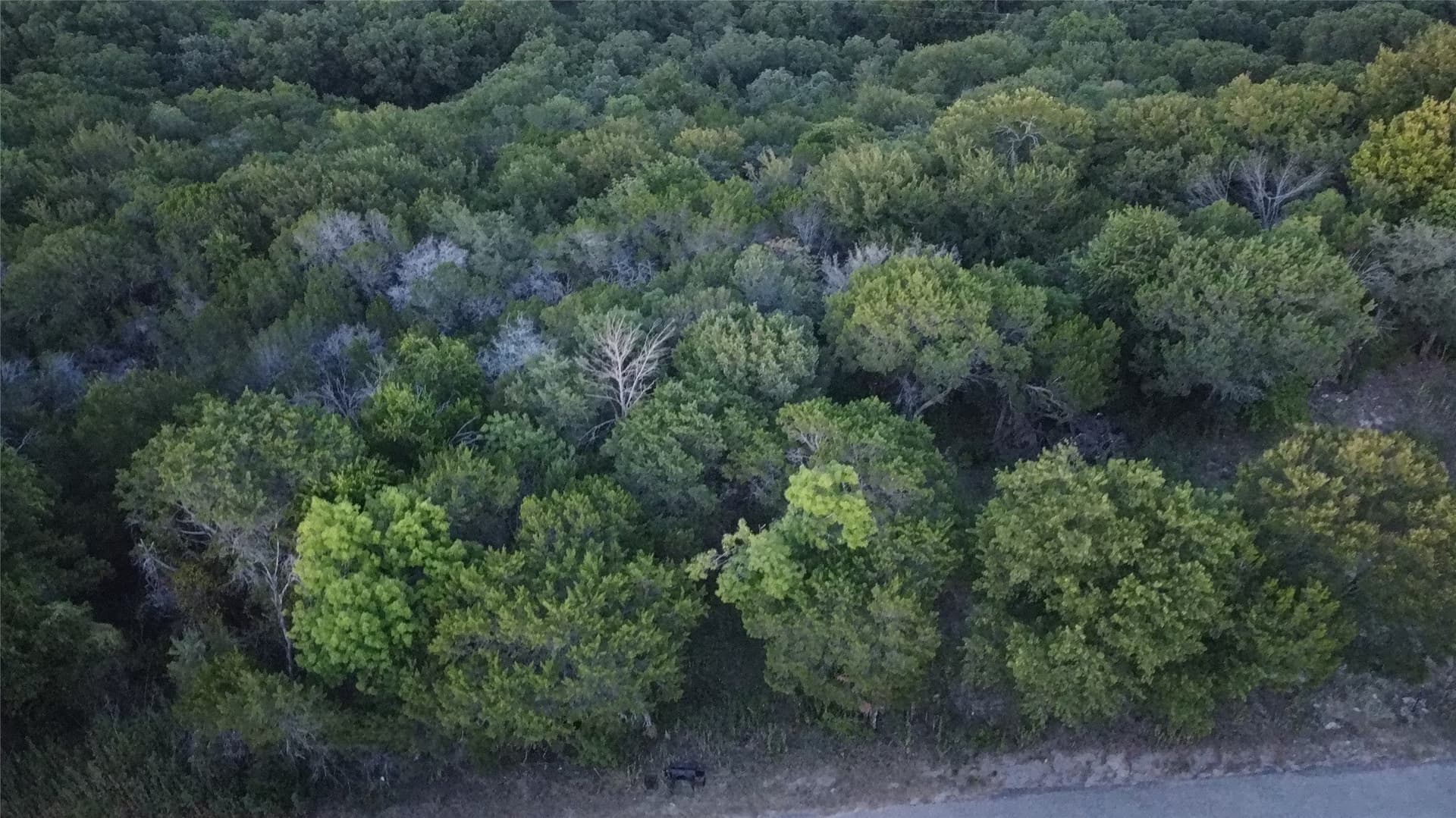 0.55 acres in Hood County - photo 7