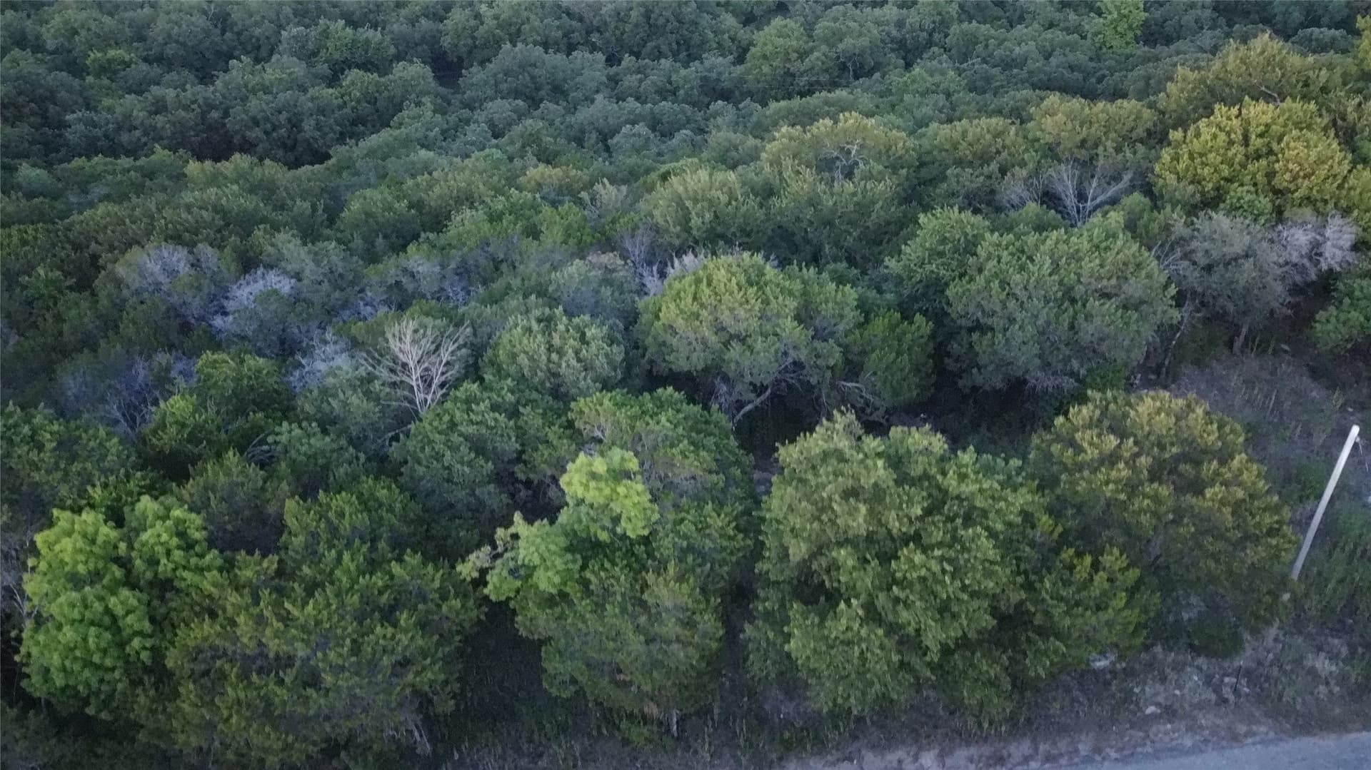 0.55 acres in Hood County - photo 8