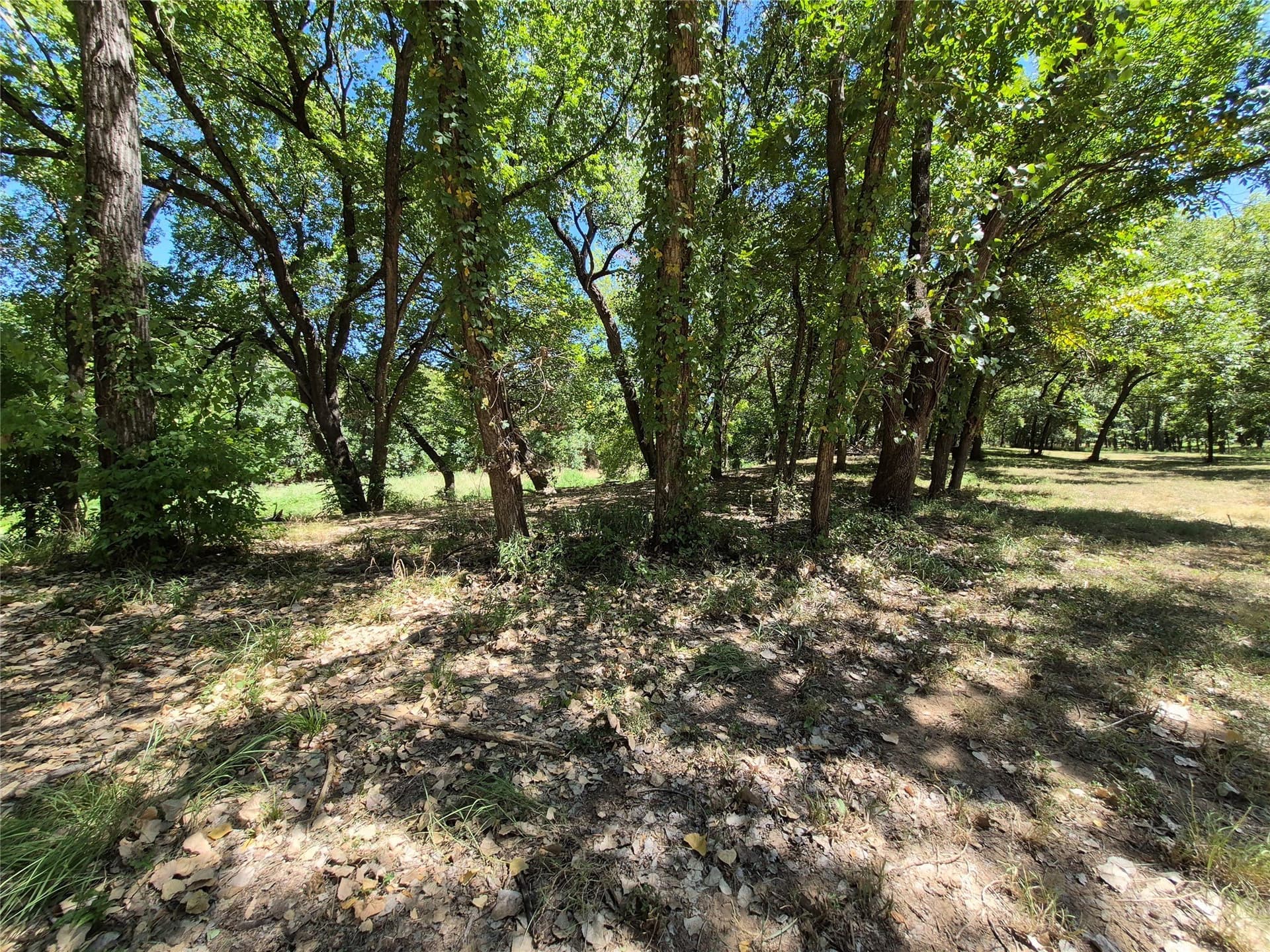 0.55 acres in Hood County - photo 16