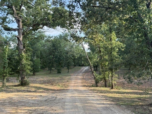 10 acres in Henderson County - photo 35