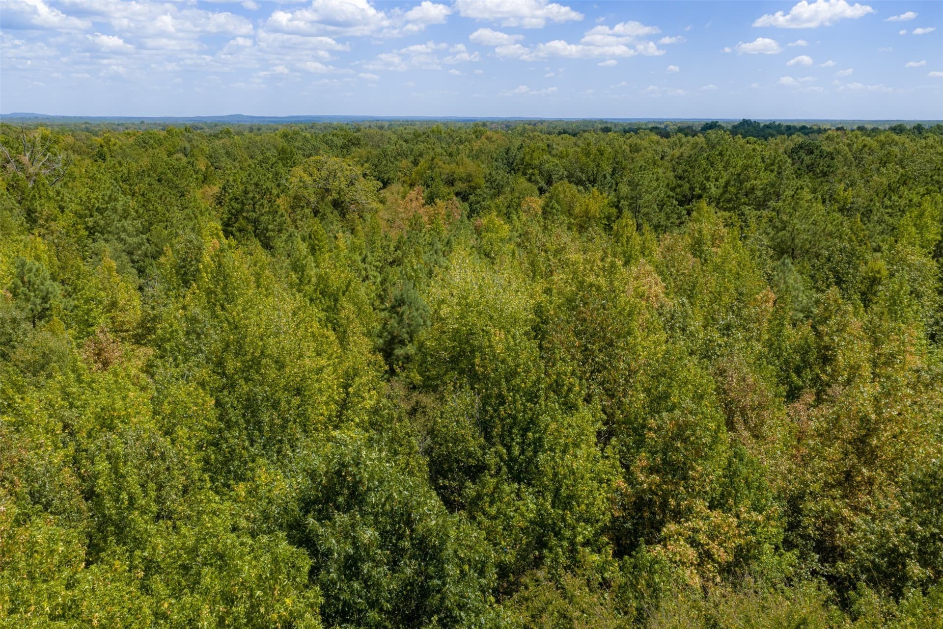 21.2 acres in Cherokee County - photo 15