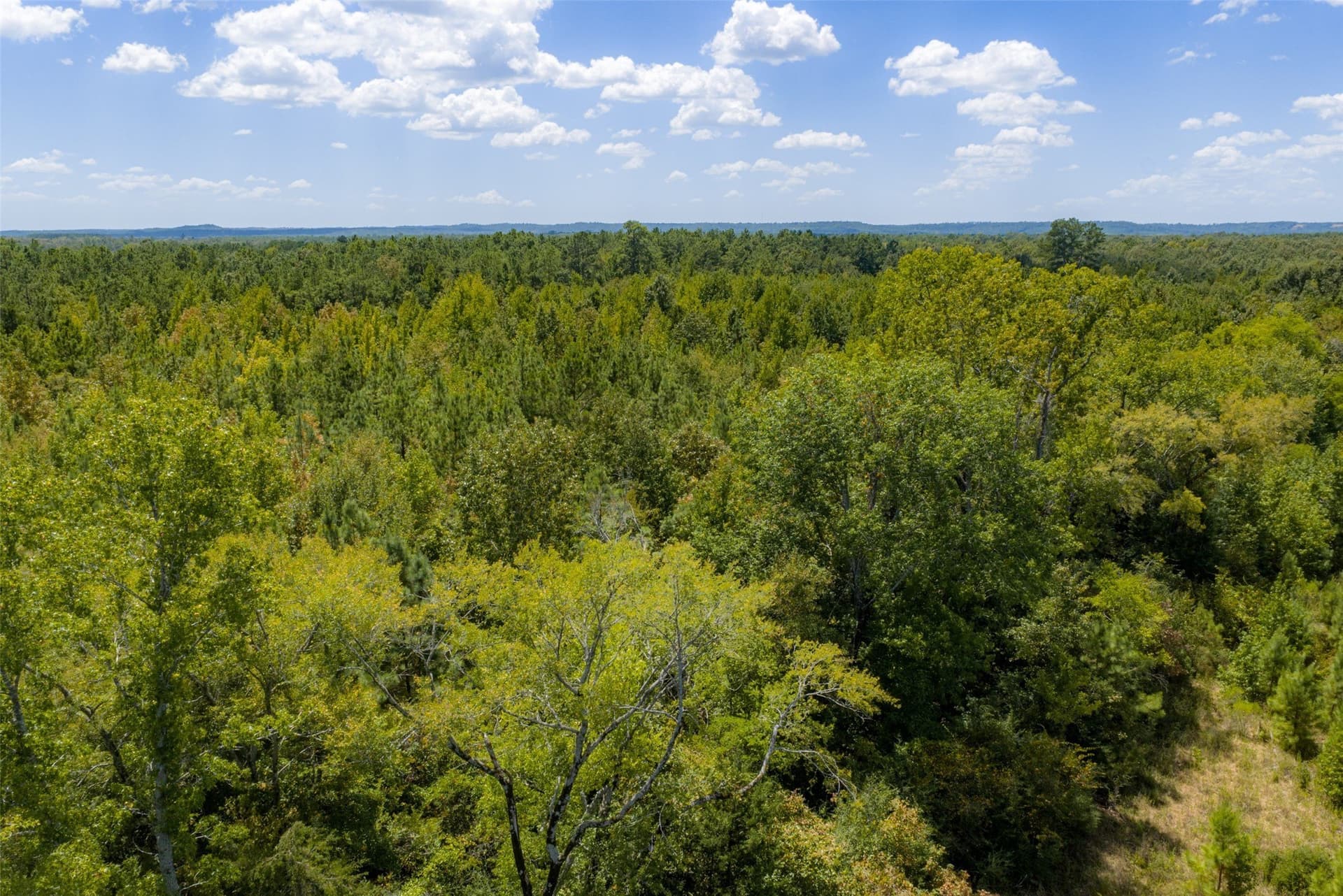 21.2 acres in Cherokee County - photo 36