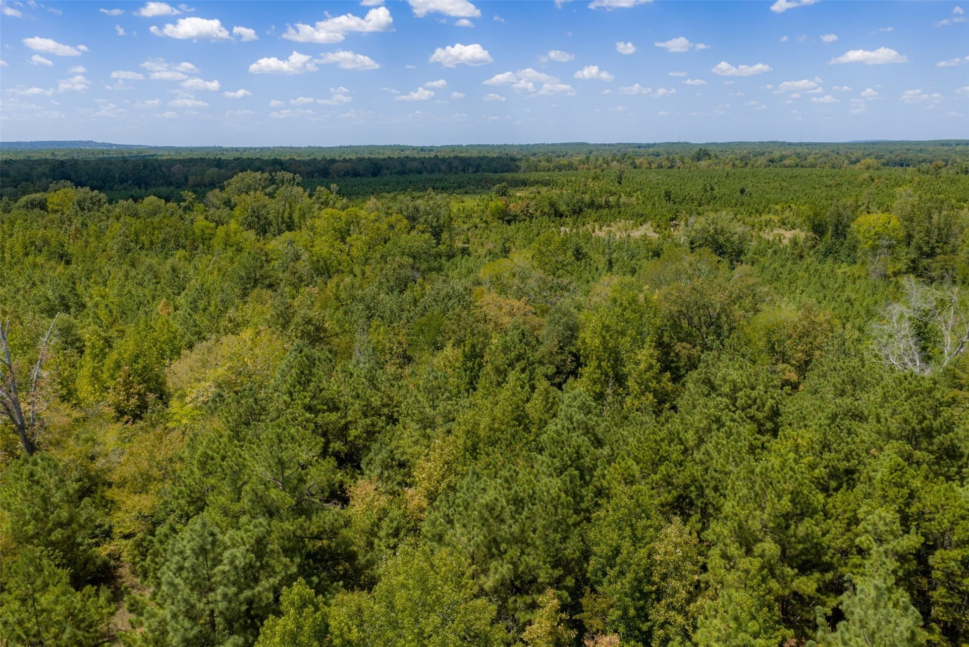 21.2 acres in Cherokee County - photo 32