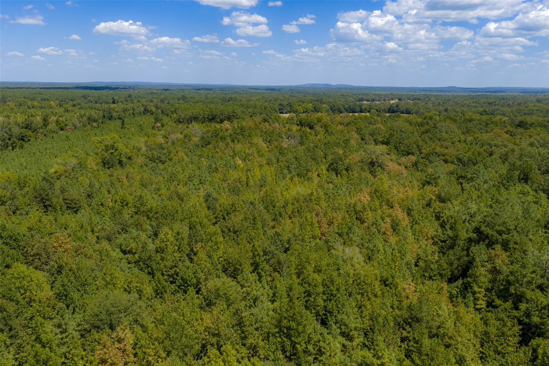 21.2 acres in Cherokee County - photo 10