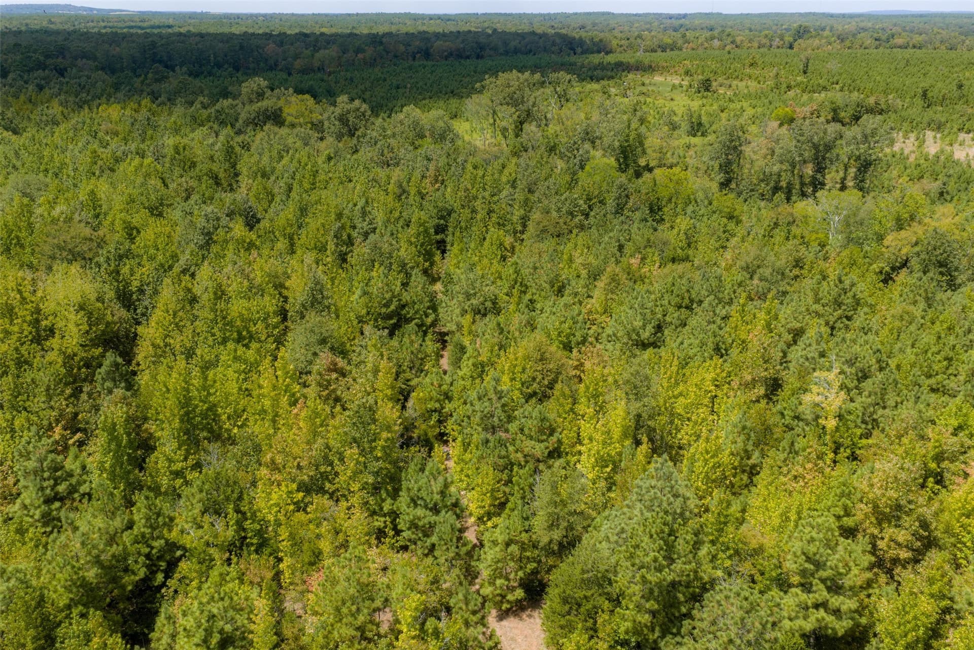 21.2 acres in Cherokee County - photo 37