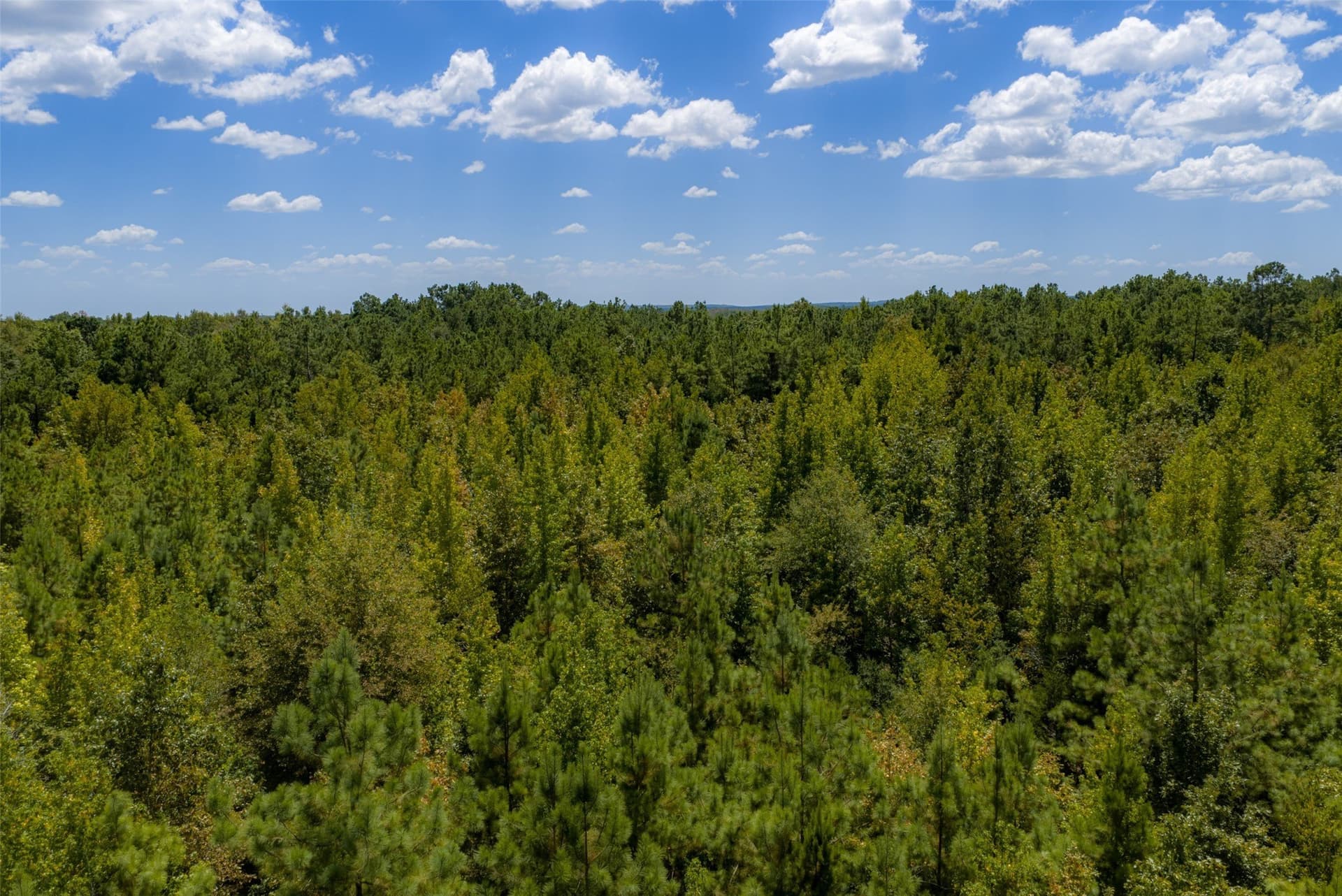 21.2 acres in Cherokee County - photo 26