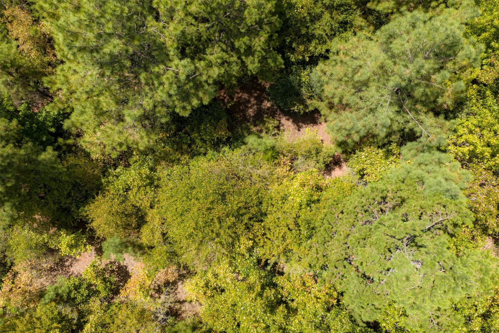 21.2 acres in Cherokee County - photo 8