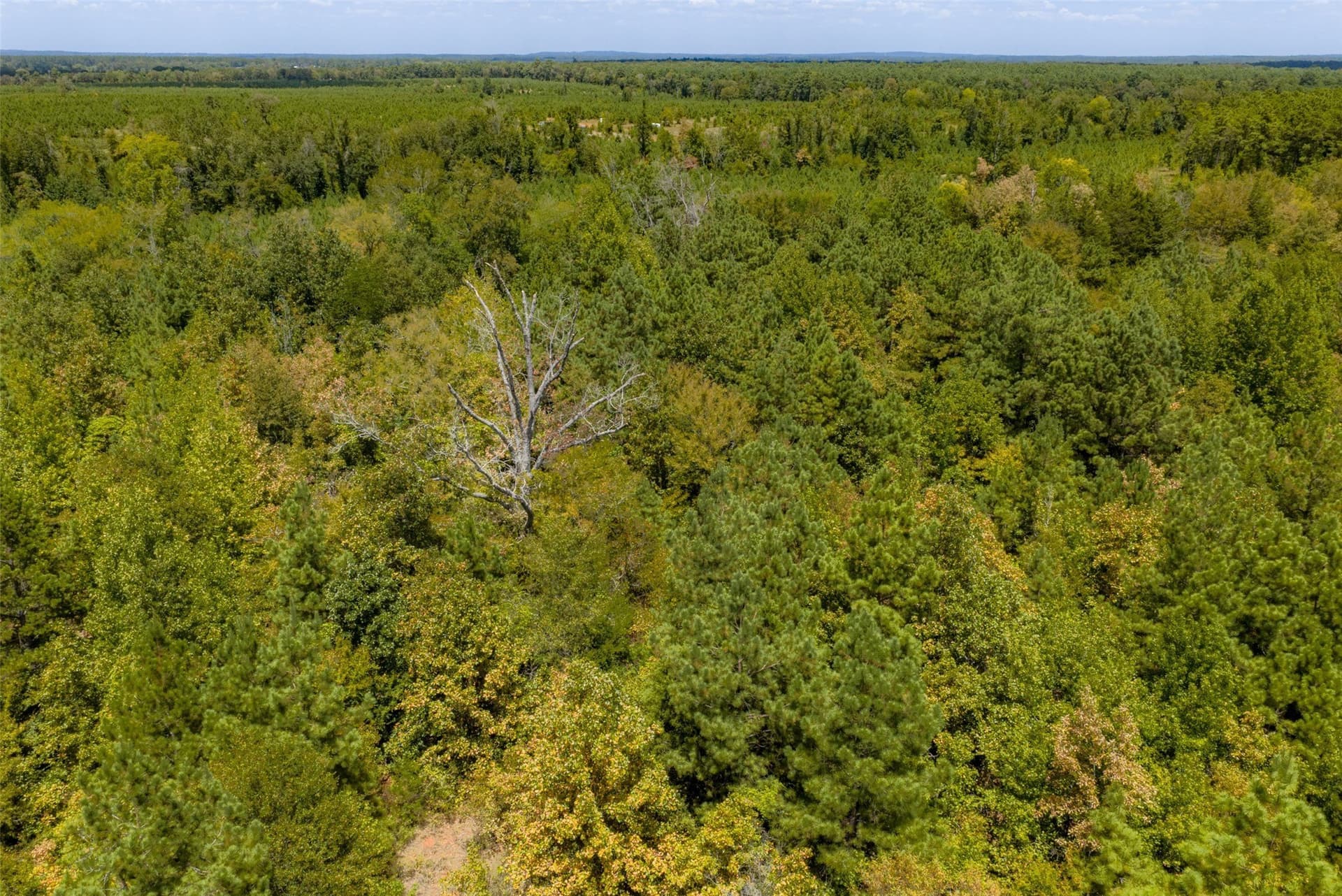 21.2 acres in Cherokee County - photo 22