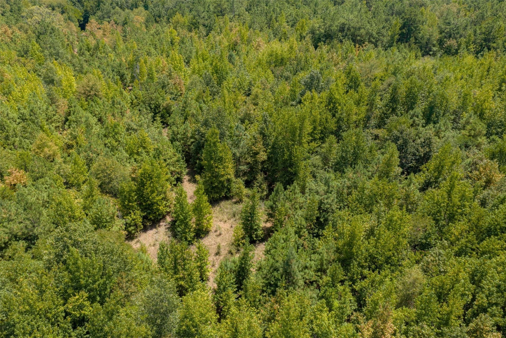 21.2 acres in Cherokee County - photo 23