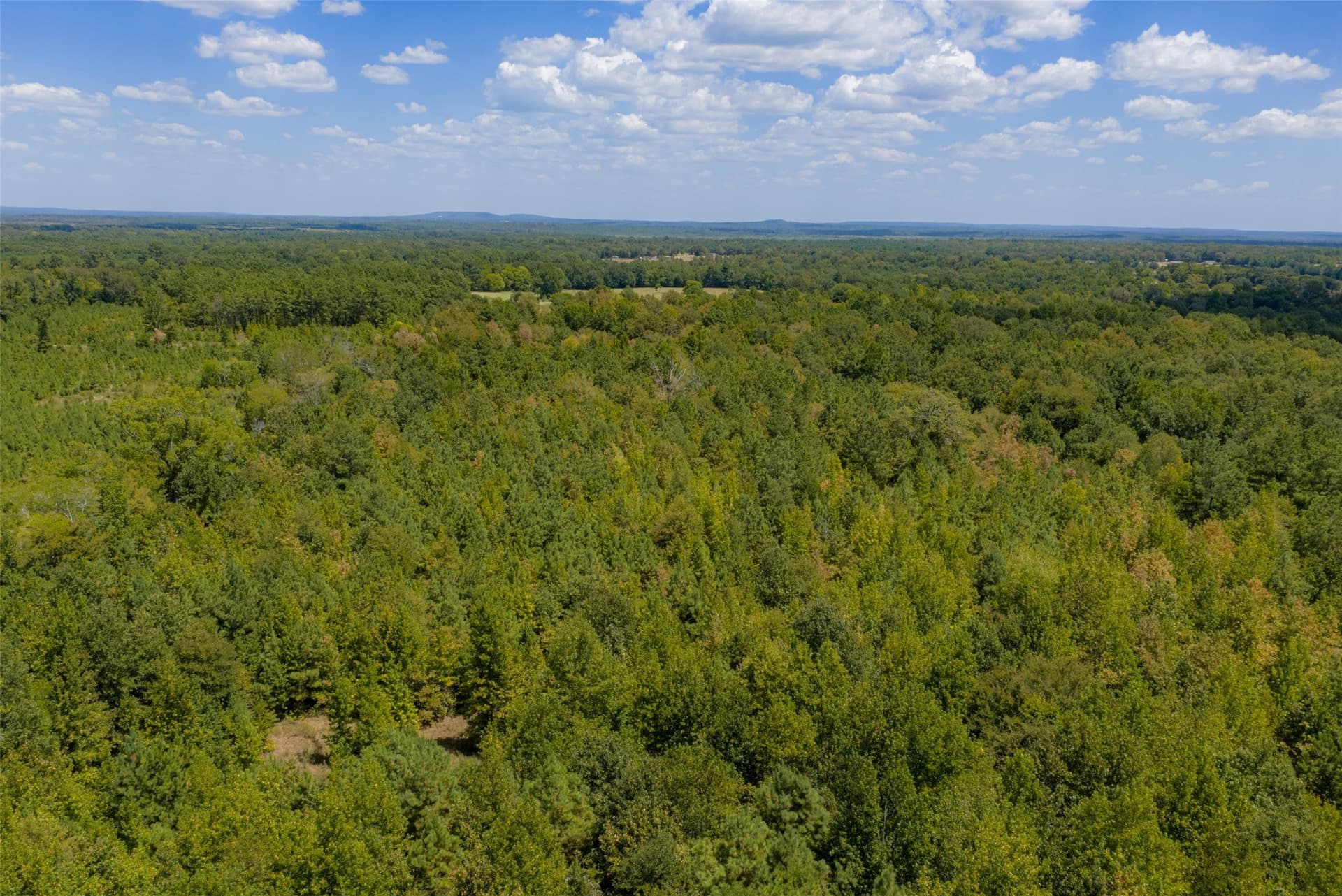 21.2 acres in Cherokee County - photo 17