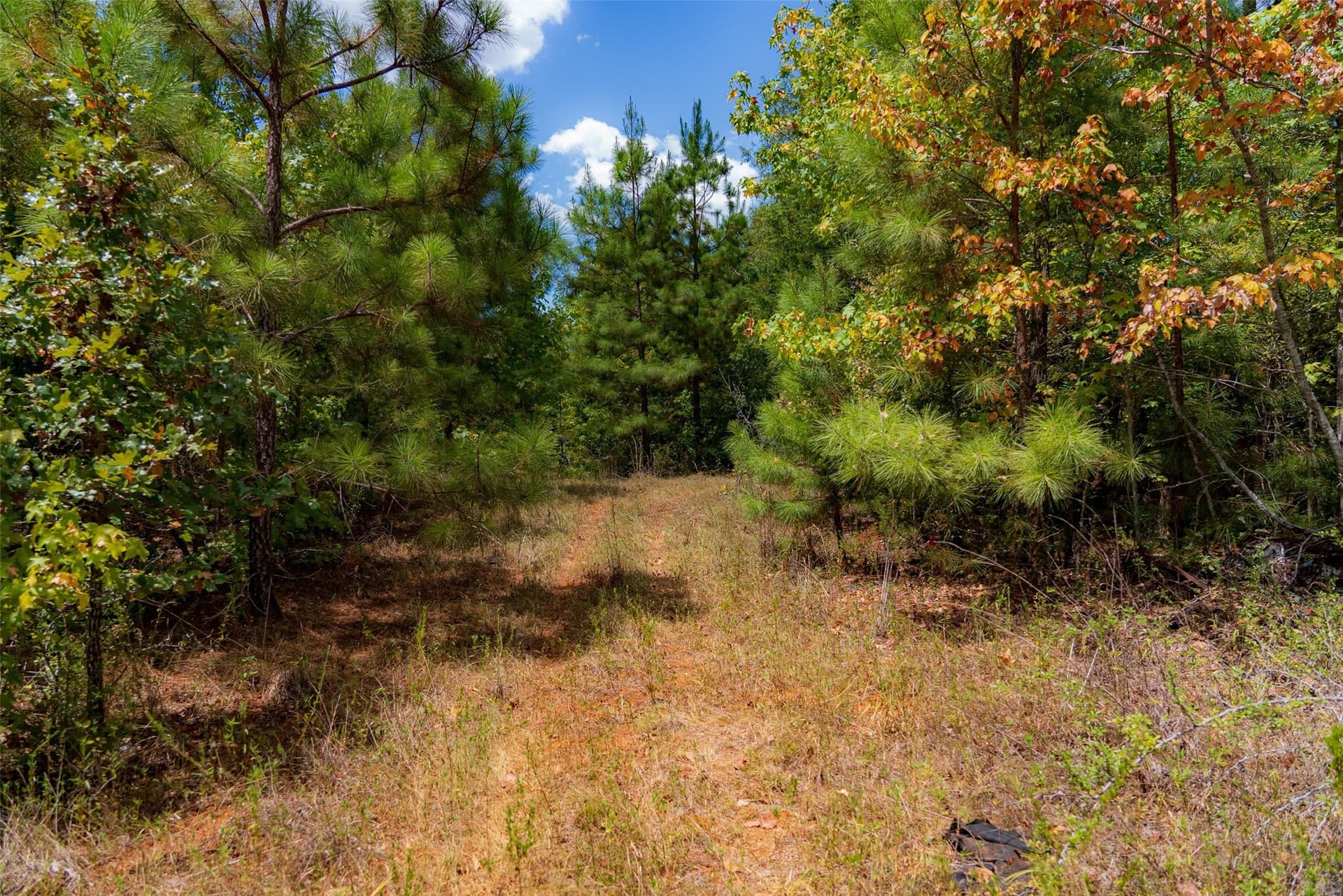 21.2 acres in Cherokee County - photo 4