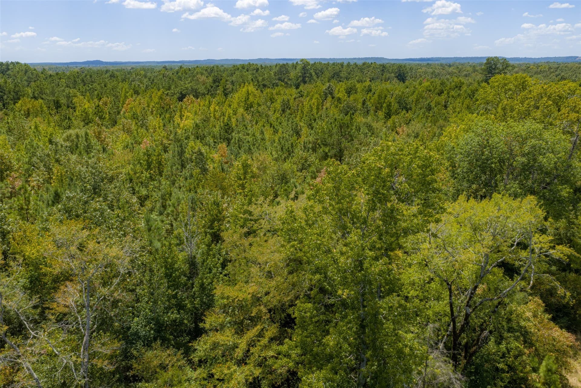 21.2 acres in Cherokee County - photo 16