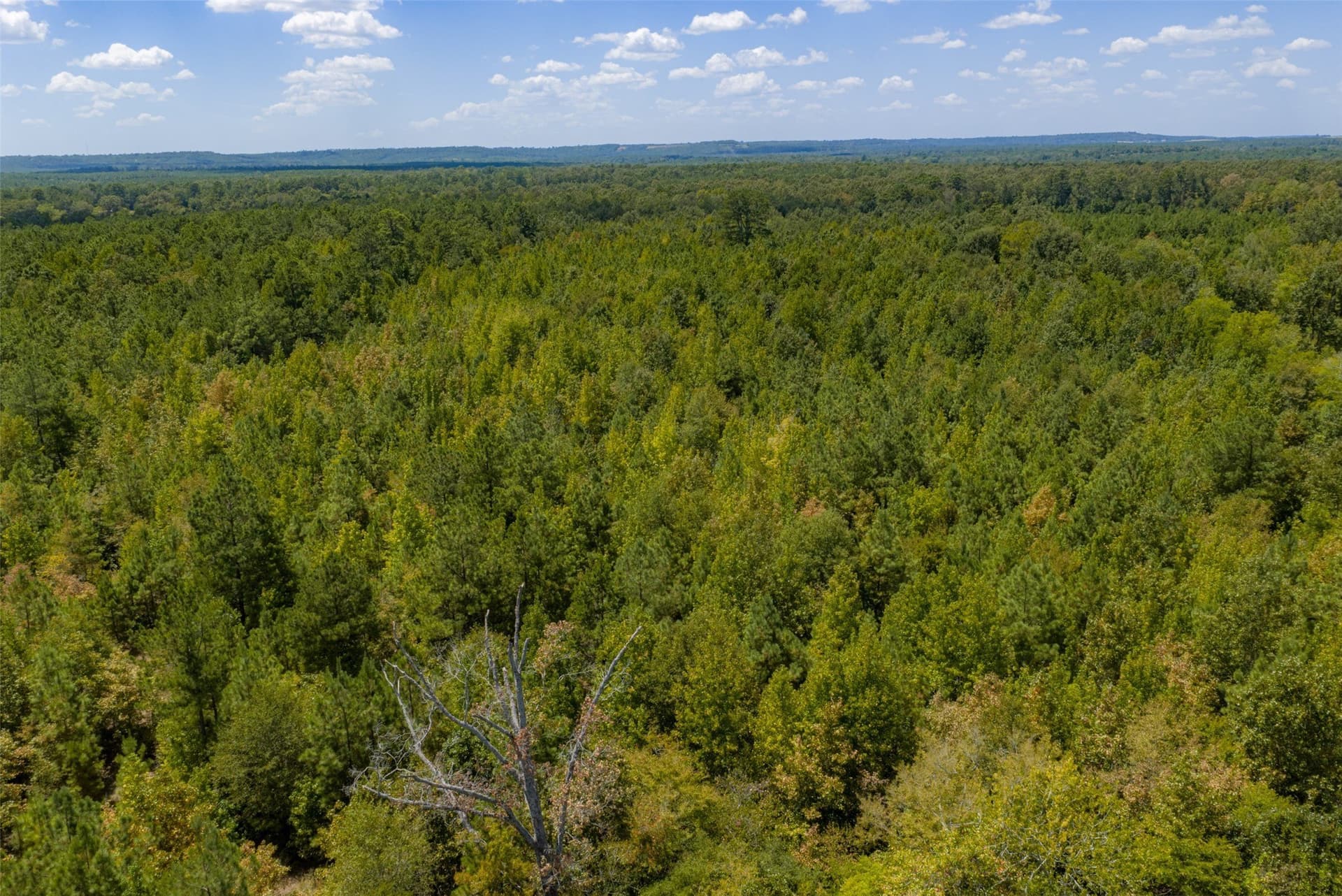 21.2 acres in Cherokee County - photo 18