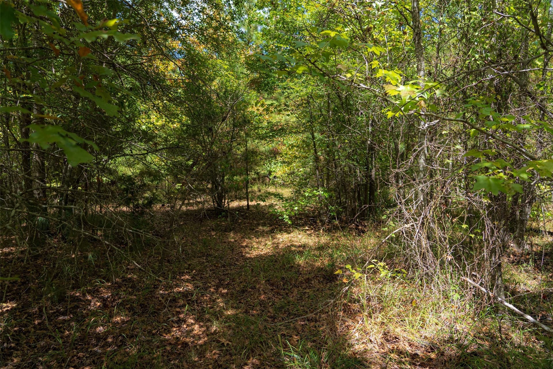 21.2 acres in Cherokee County - photo 7