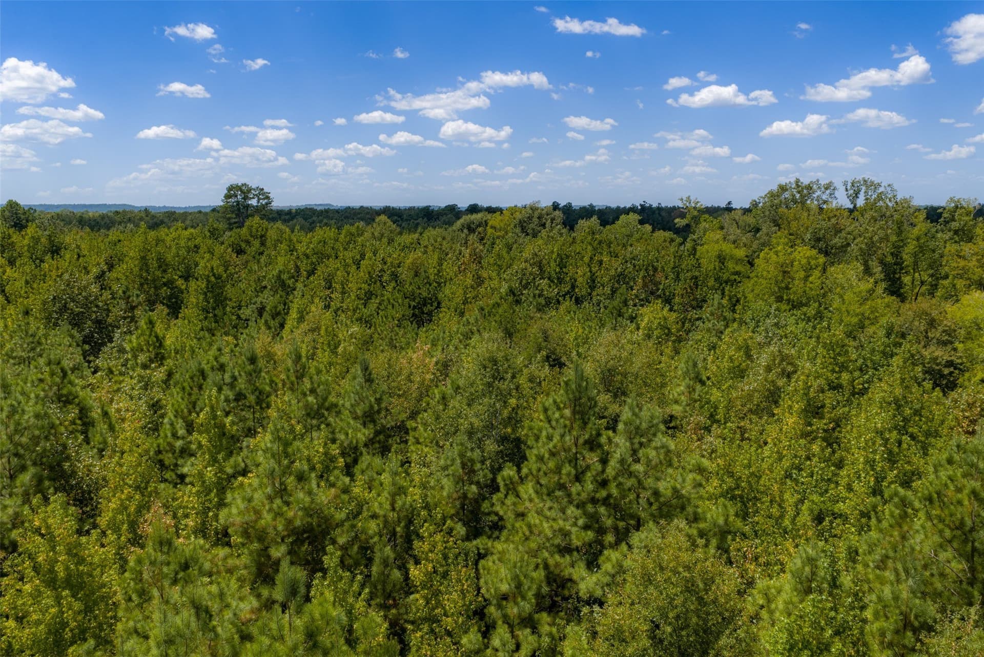 21.2 acres in Cherokee County - photo 33