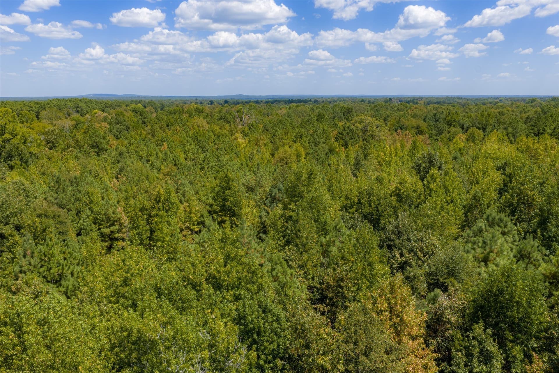 21.2 acres in Cherokee County - photo 14
