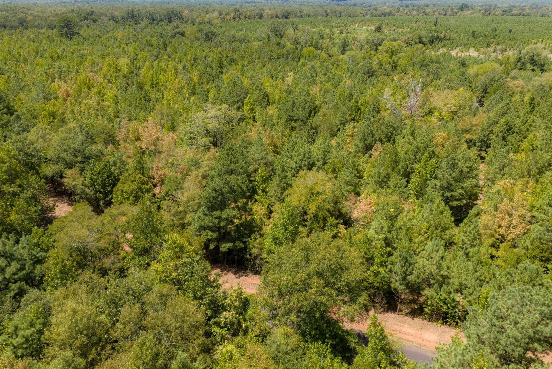 21.2 acres in Cherokee County - photo 27
