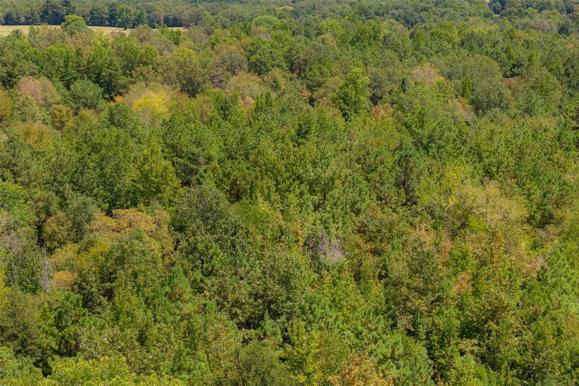 21.2 acres in Cherokee County - photo 19
